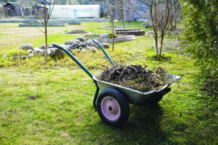 Garden cart with natural garbage close-up. Against the backdrop of a rustic landscape, lovely trees…